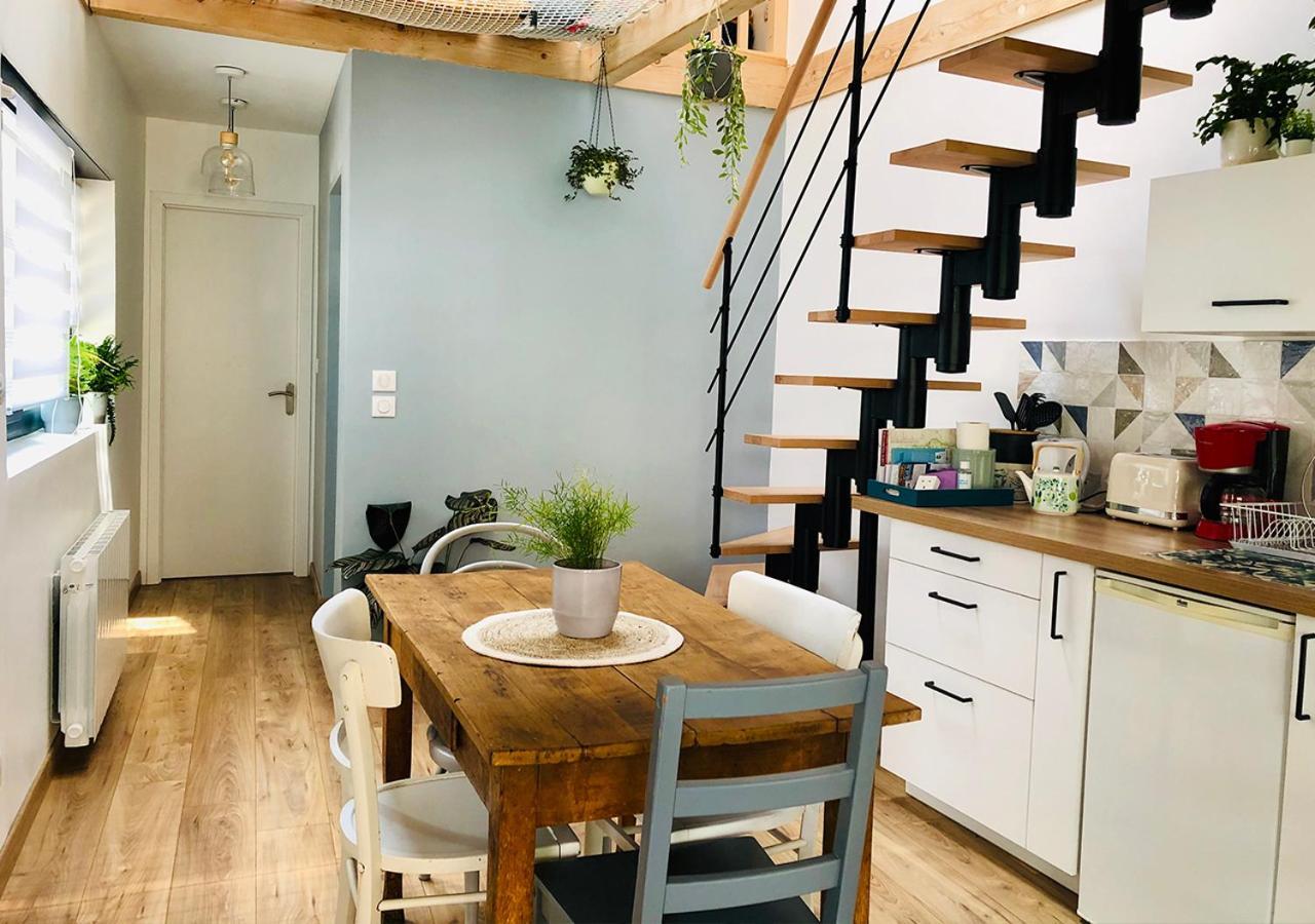Maison Duplex, Avec Terrasse Dans Štrasburk Exteriér fotografie
